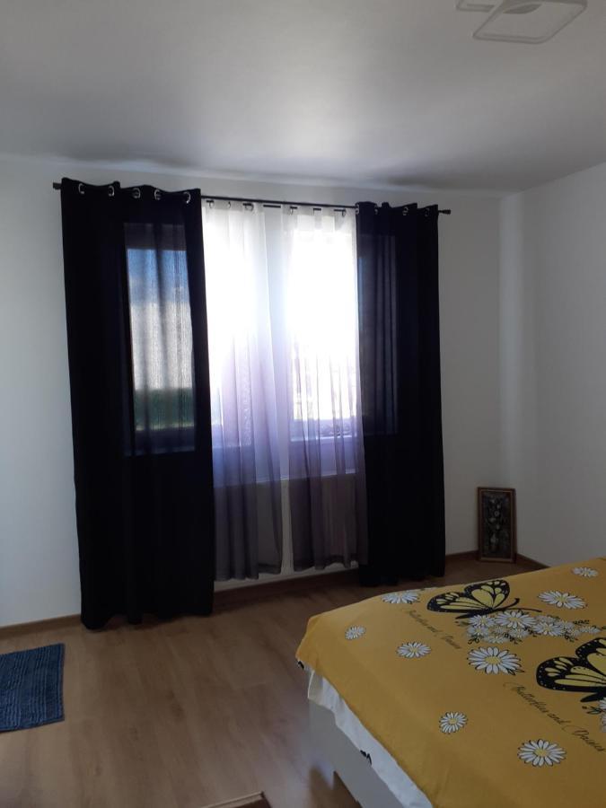 Casa Dana Apartment Sibiu